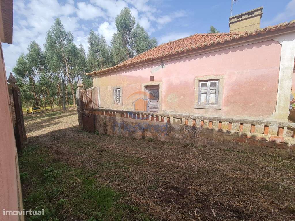 Quintinha 1,6 hectares | Maxial, Torres Vedras - Grande imagem: 4/11