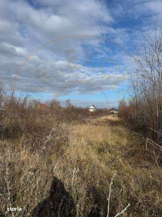 Comision 0 - Teren intravilan Prundu - Bananai - 2939 mp - Imagine principală: 3/3