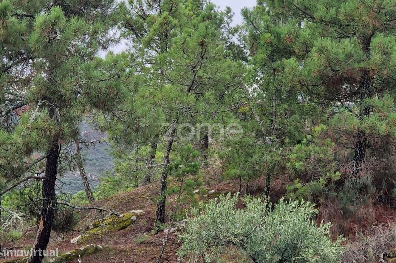Terreno Urbanizável para Venda em Pegarinhos , Alijo - Grande imagem: 4/7