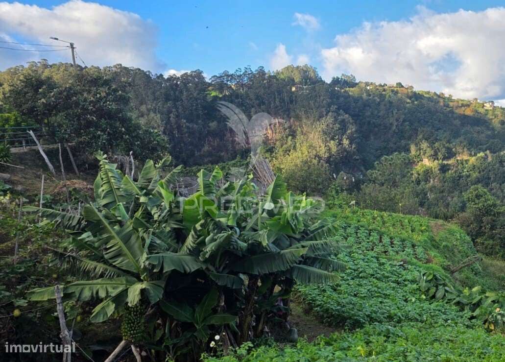 Terreno com Vista Atlântica e Montanha – Ilha, Santana | Madeira - Grande imagem: 4/13