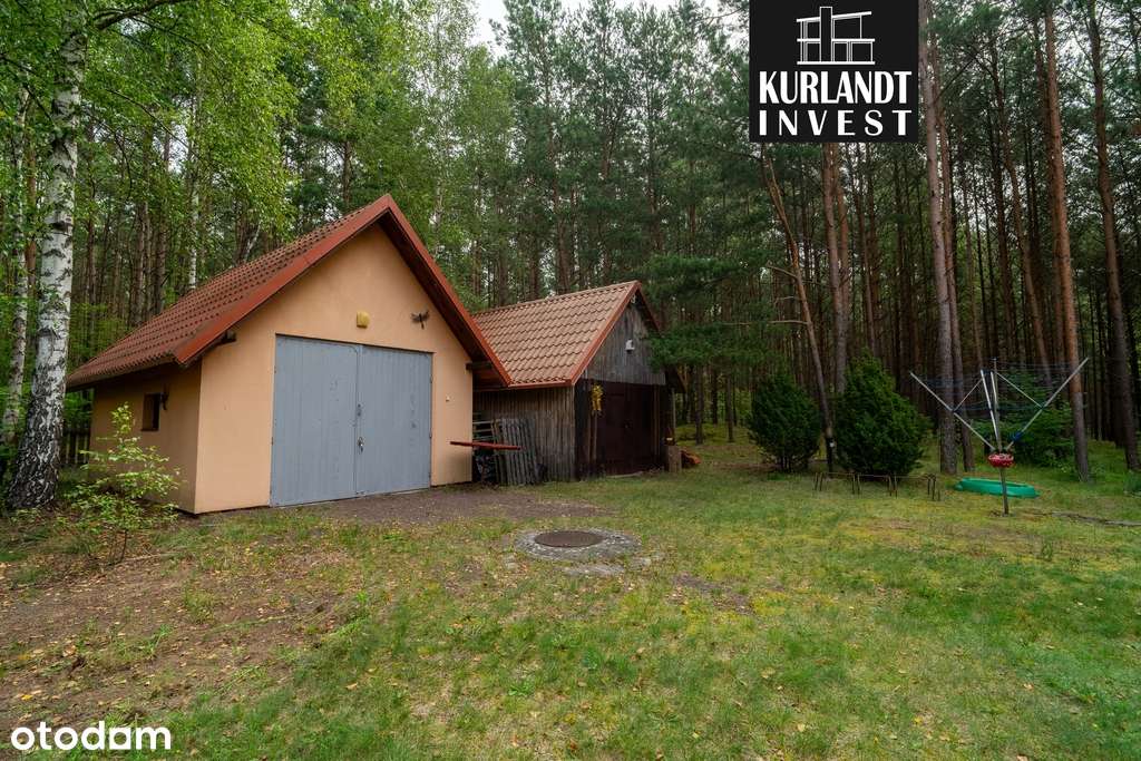 Dom z lasem Kowalskie Błota Bory Tucholskie-11