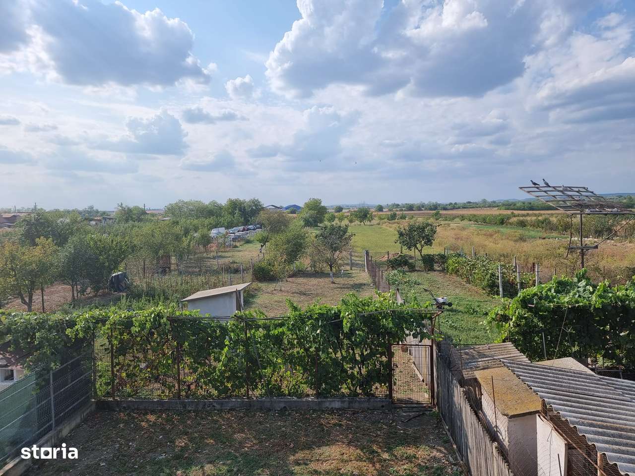 Casa in Dimoiu - Ulmi-16