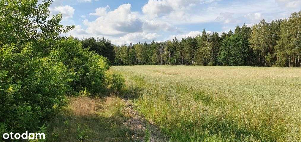 Działka, 1 059 m², Chotomów-1