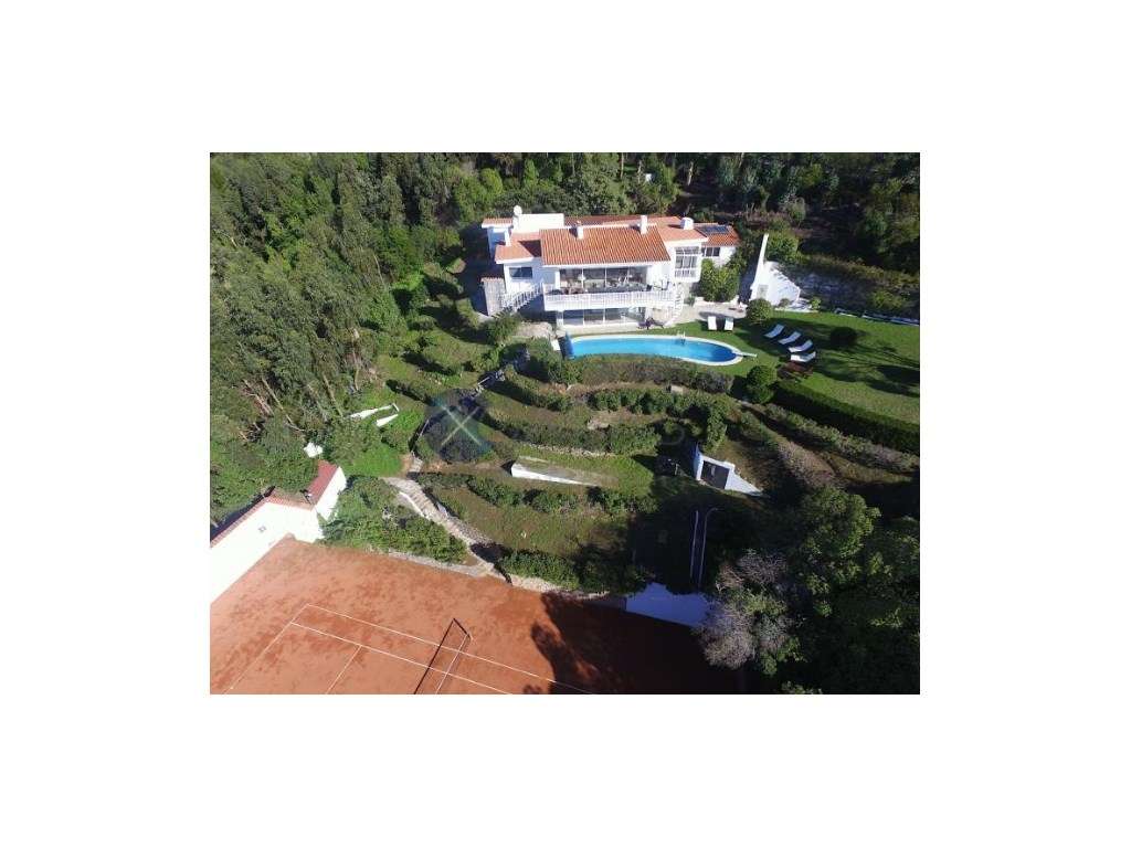 Espectacular Quinta com 10 mil m2 entre a Malveira da Serra e Bisca... - Grande imagem: 4/39