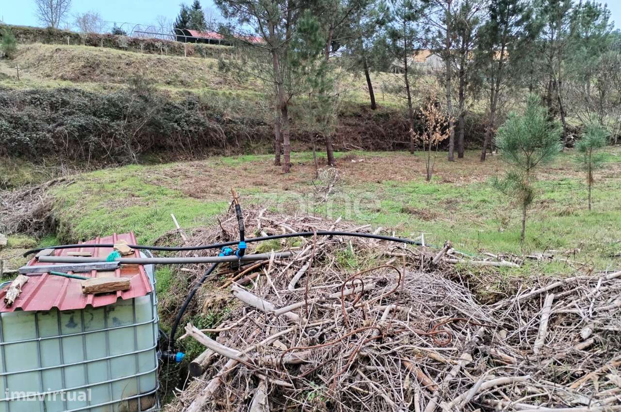 Terreno agricola e florestal.-14