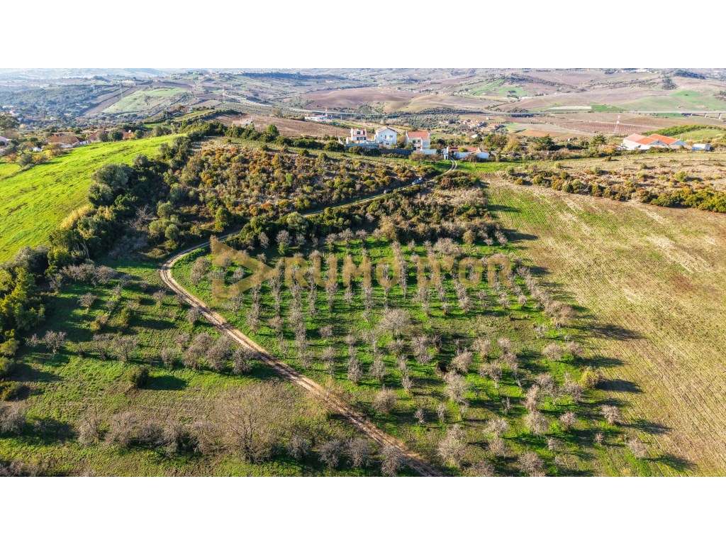 Quinta para Venda com Grande Potencial em Castanheira do Ribatejo-45