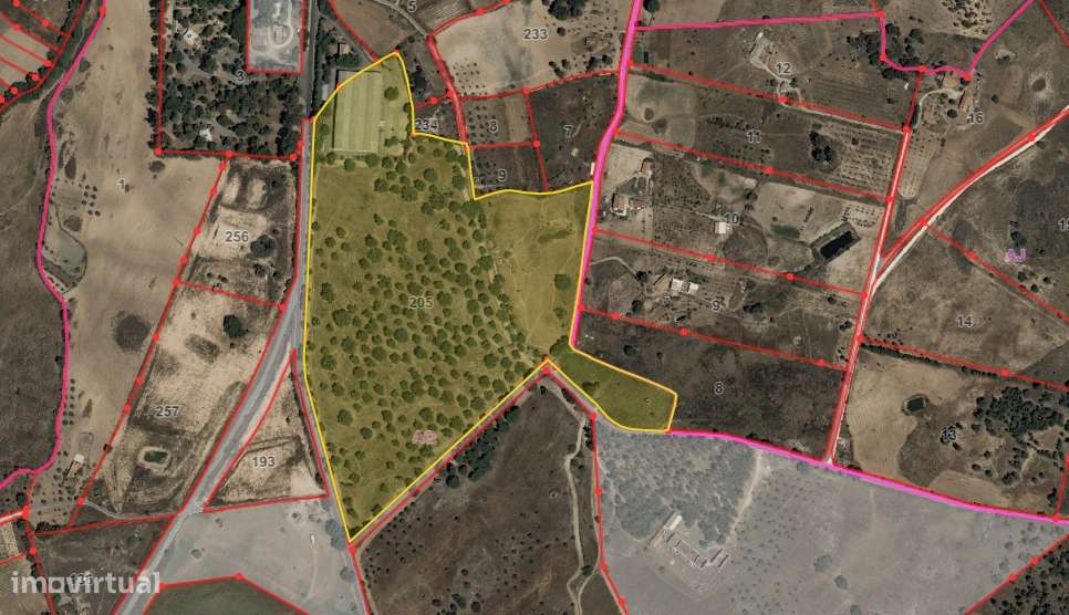 Quinta com habitação, poço, sobreiro, casa-13