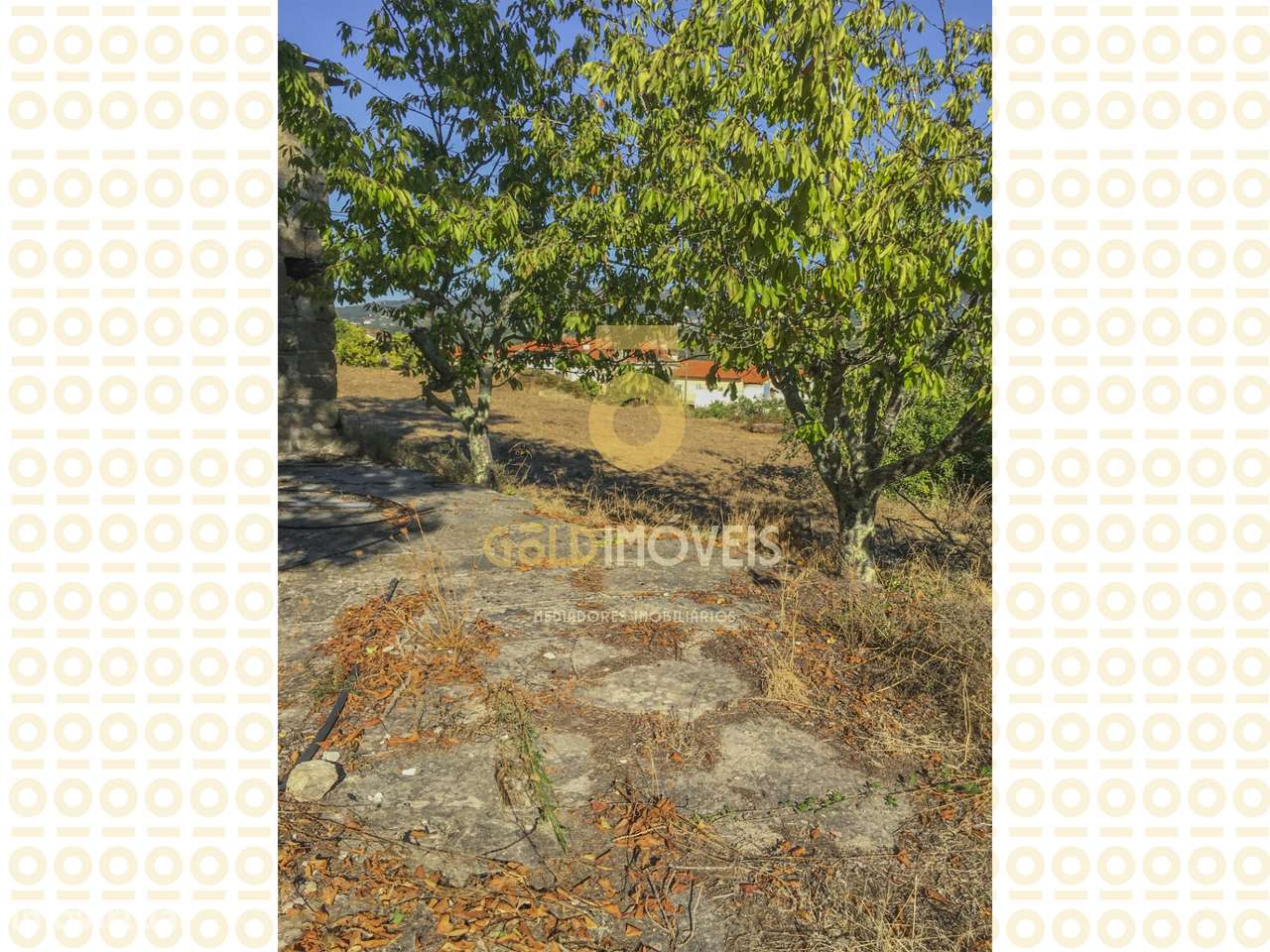 Quinta T3 Venda em Boelhe,Penafiel-15