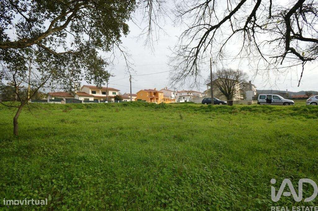 Terreno em Chão de Couce de 773,00 m2 - Grande imagem: 5/7
