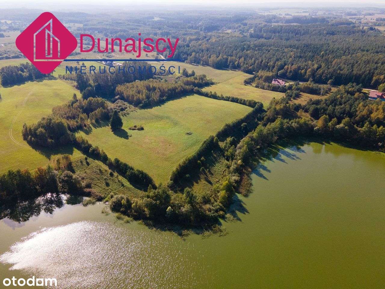 Piękna działka pod Dywitami, 3,7ha pod ranczo! - Pełny obrazek: 5/20