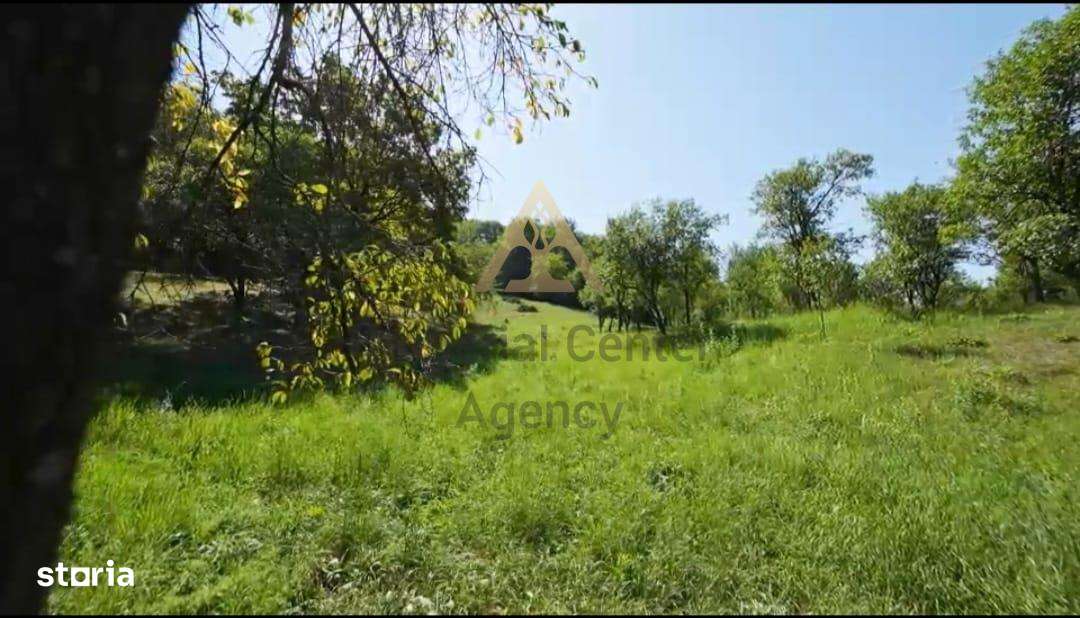 Teren intravilan + extravilan 10.537 mp – casa, livada sau ferma de fa-5