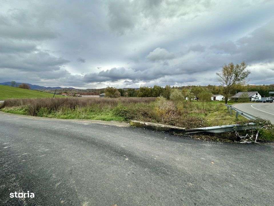 Teren intravilan 3.749 mp – Beznea, com. Bratca, jud. Bihor - Imagine principală: 3/4