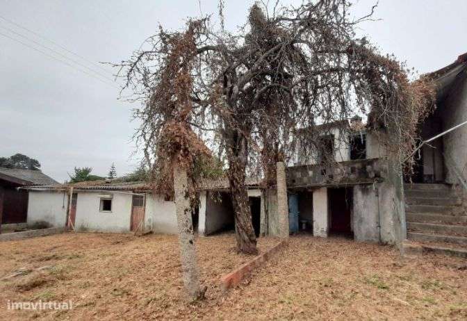 Moradia para recuperar e terreno com 2200 m2 - Grande imagem: 4/11