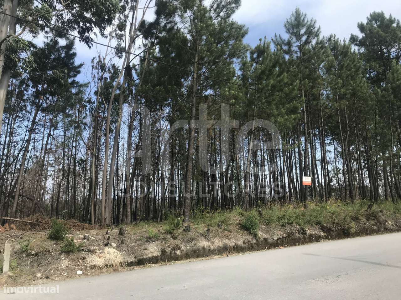 Terreno Urbano  Venda em Requeixo, Nossa Senhora de Fátima e Nariz,Ave - Grande imagem: 2/3
