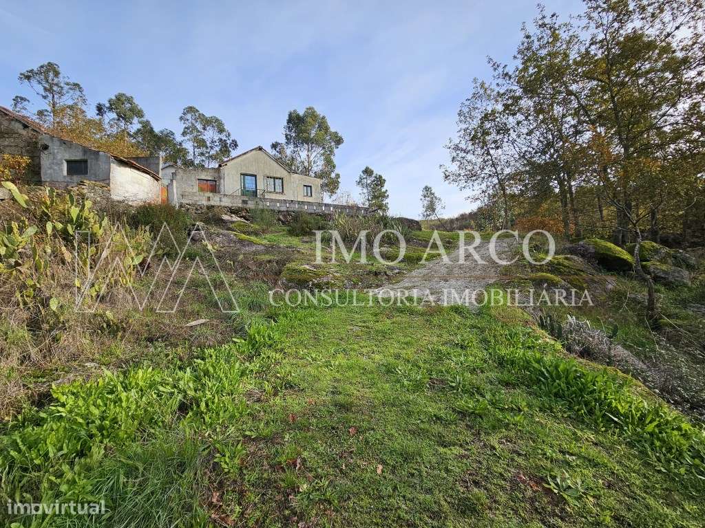 Terreno, Olival de Meanhos-11