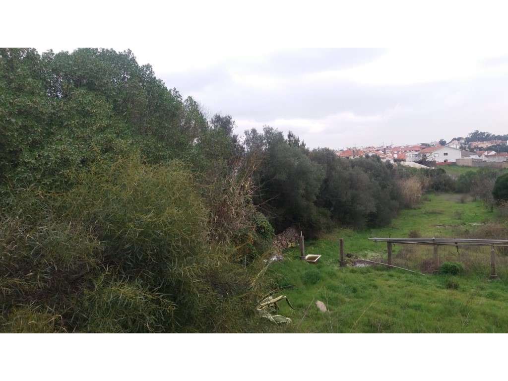 Terreno com 2040m² , Cascais, Manique-2