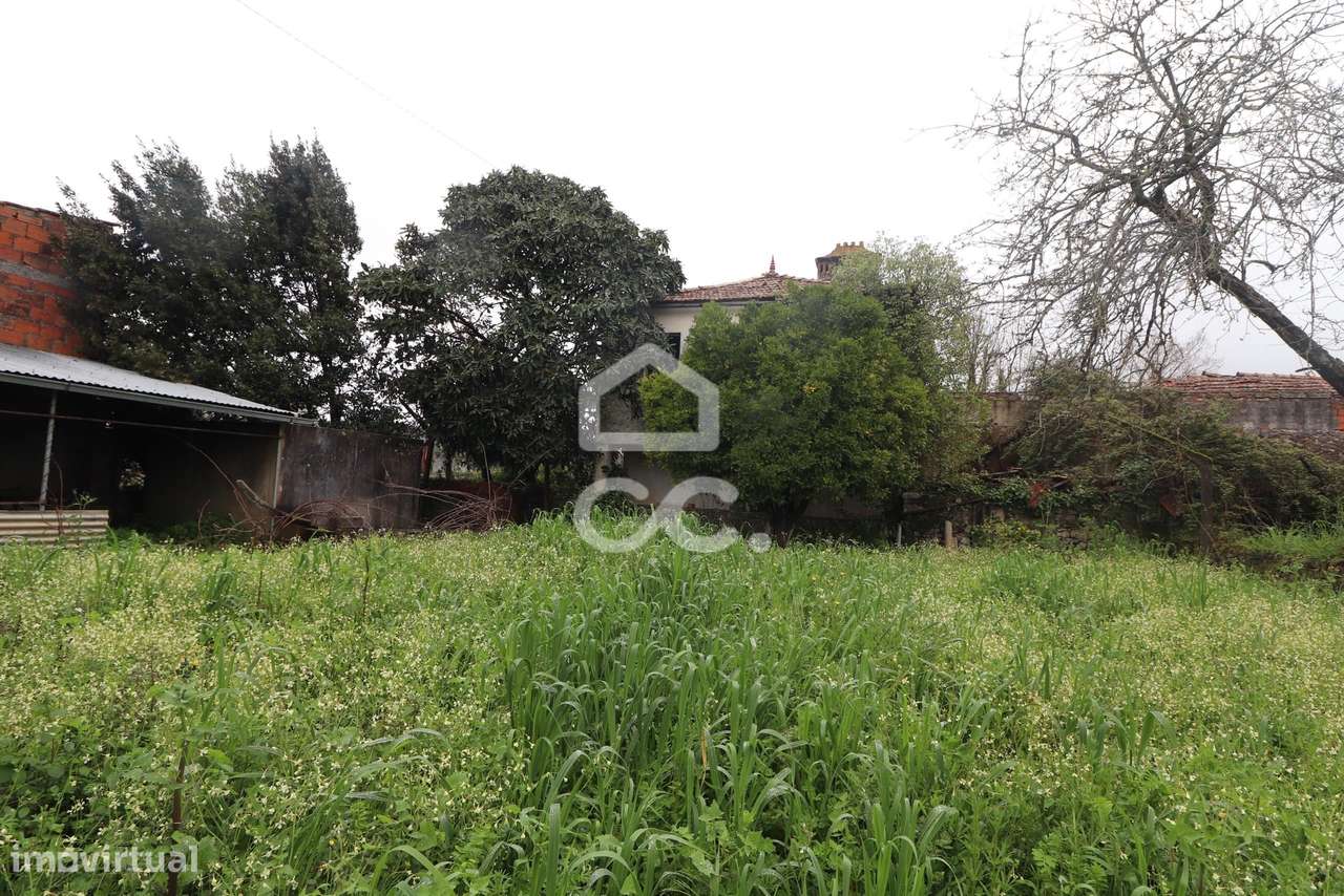 Moradia Térrea com terreno em Chão de Couce - Ansião-13