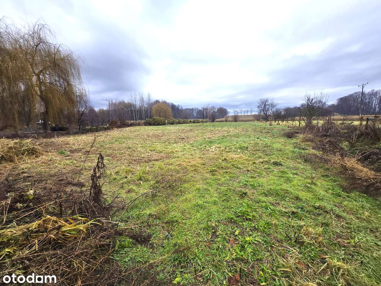 dom z duża działką w Bodzanowie-3