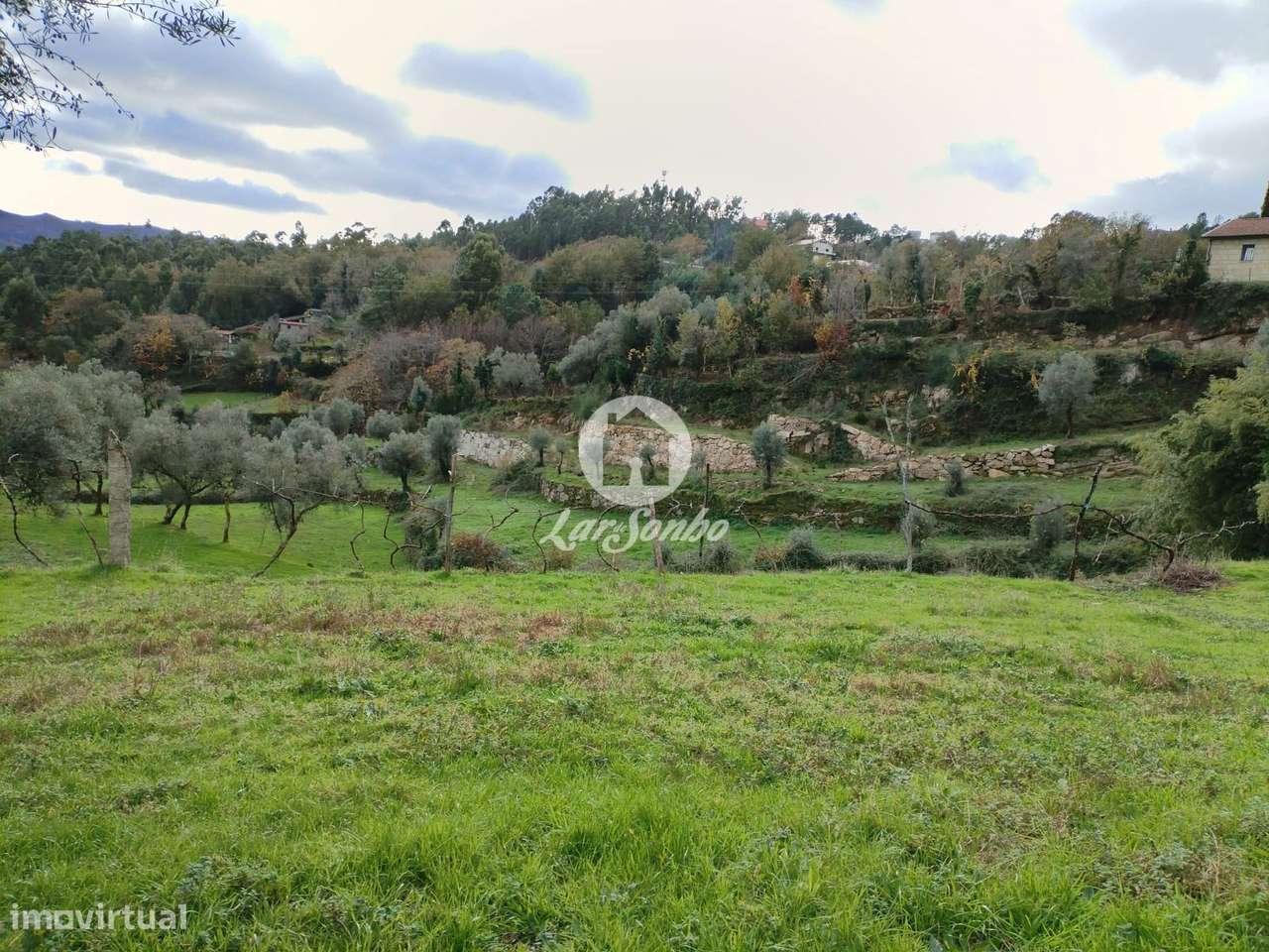 Terreno rústico, para venda, Terras de Bouro - Vilar da Veiga - Grande imagem: 4/5