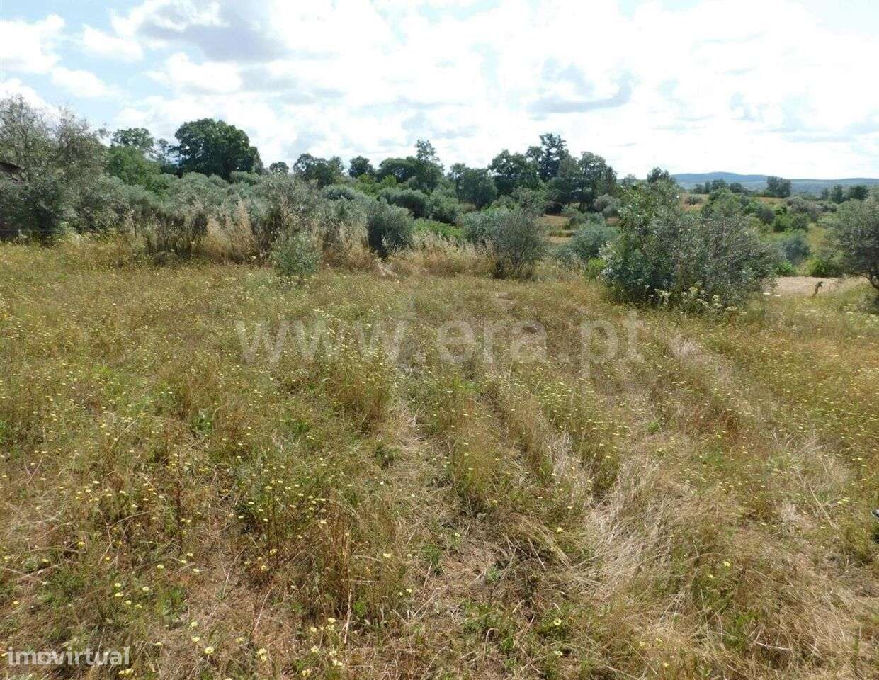 Terreno / Fundão, Alpedrinha - Grande imagem: 5/7