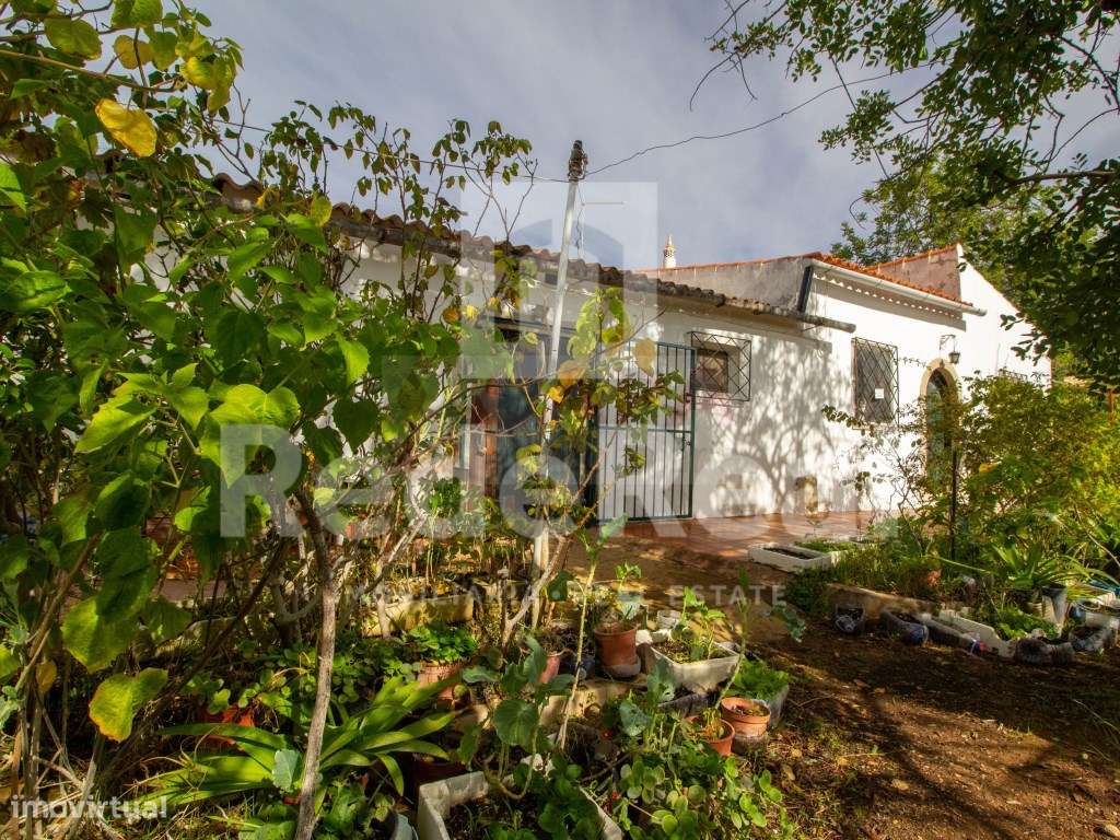 Moradia com 1. 556 hectares com furo e água da rede-9