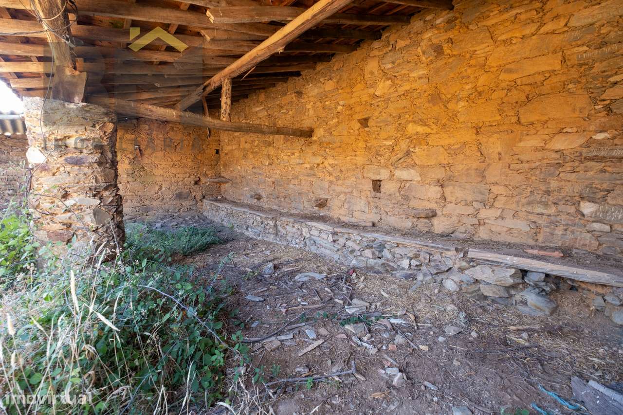 Quintinha  Venda em Sarzedas,Castelo Branco-14