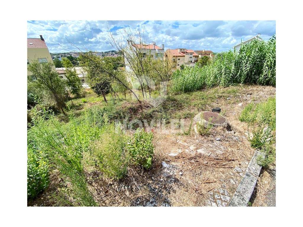 Terreno no centro de Pombal - Grande imagem: 4/7