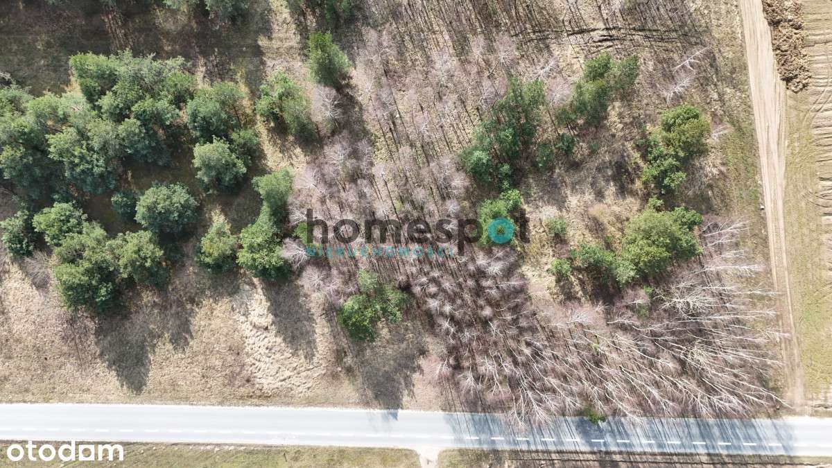 | Działka | Jez. Lubienickie  | Pojezierze Kuj. | - Pełny obrazek: 5/5