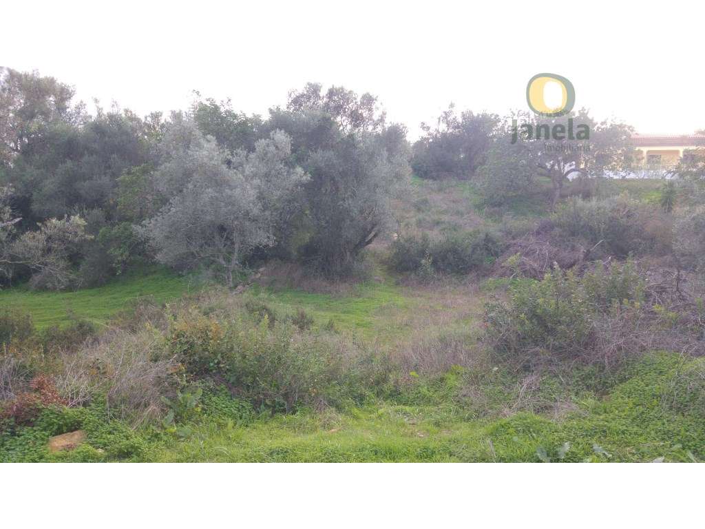 Terreno Venda Olhão - Grande imagem: 3/6