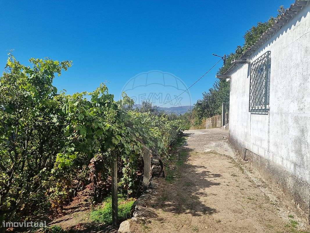 Quinta  para venda-9