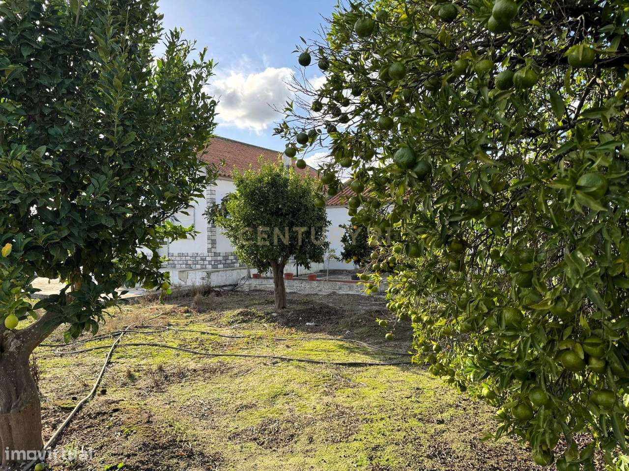 Moradia Isolada implantada em lote com 1800 m2 na Aldeia Nova da Aroei - Grande imagem: 5/19