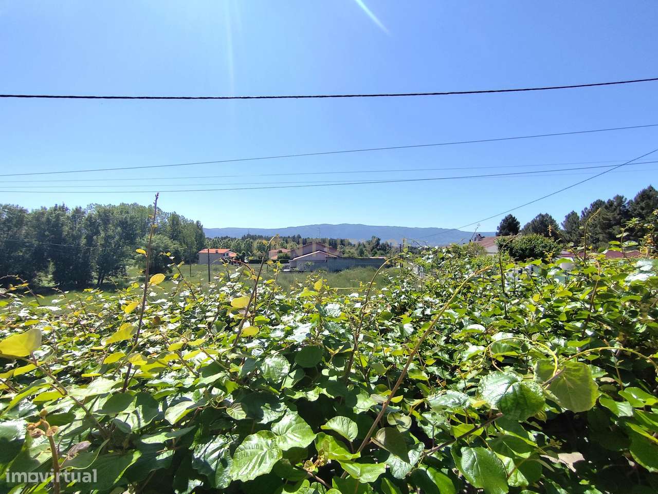 Moradia T3 a 4kms do centro da cidade de Chaves - Grande imagem: 4/21