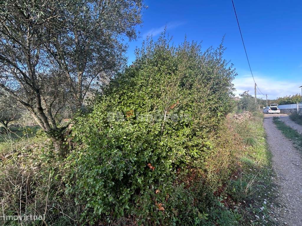 Terreno rústico - Carvalhal da Póvoa, Tomar - Grande imagem: 5/17