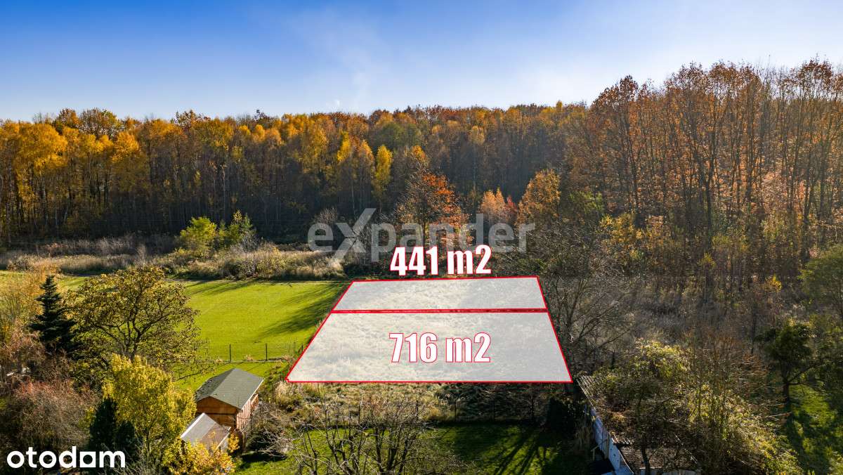 ul.. Jaśminowa/Brzozowa-granica Mikołowa i ŁaziskG - Pełny obrazek: 2/19