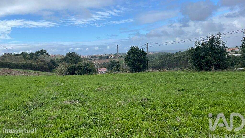 Terreno em Alcobaça e Vestiaria de 3220,00 m2 - Grande imagem: 3/14