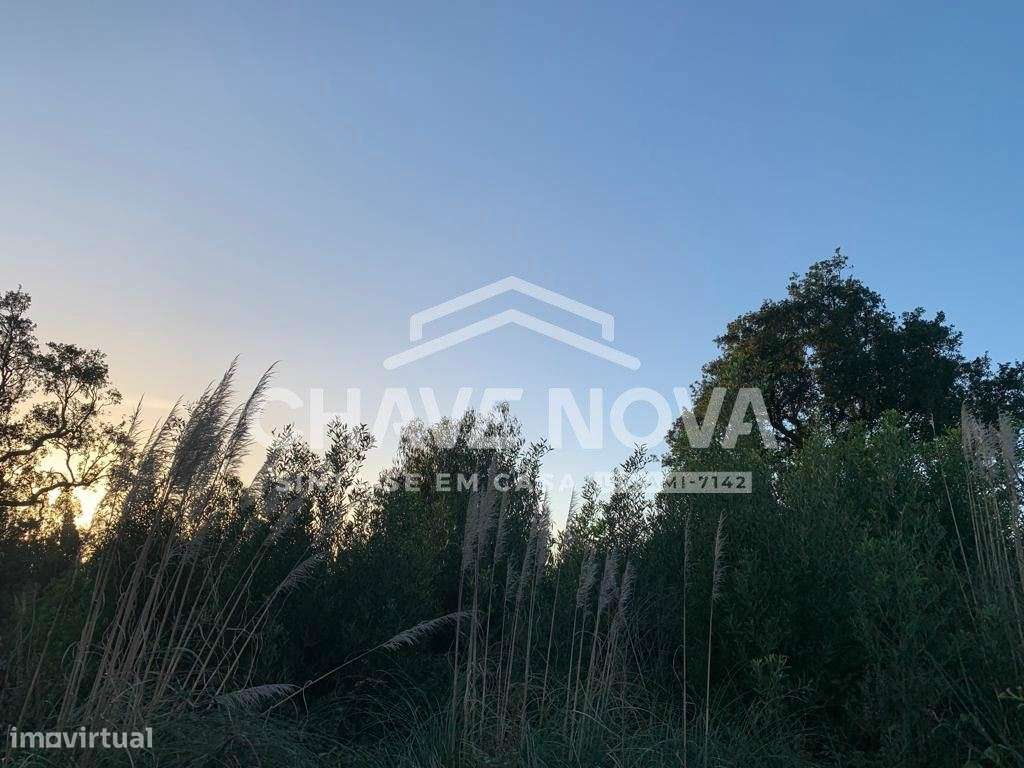 Terreno P/ Construção em Altura em Gulpilhares - Grande imagem: 4/12