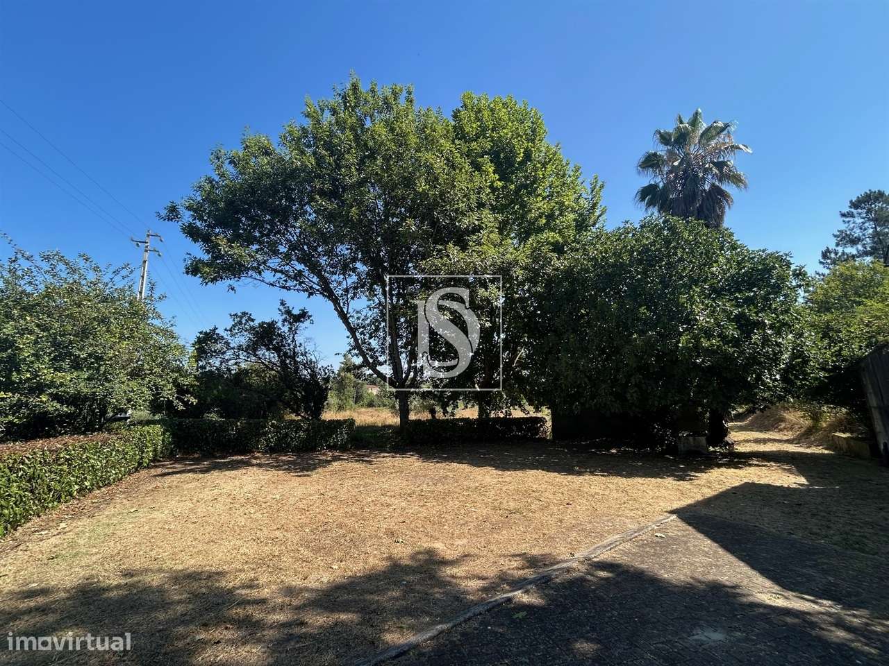 Quinta com 24.300m² em Vale de Açores, Mortágua-46