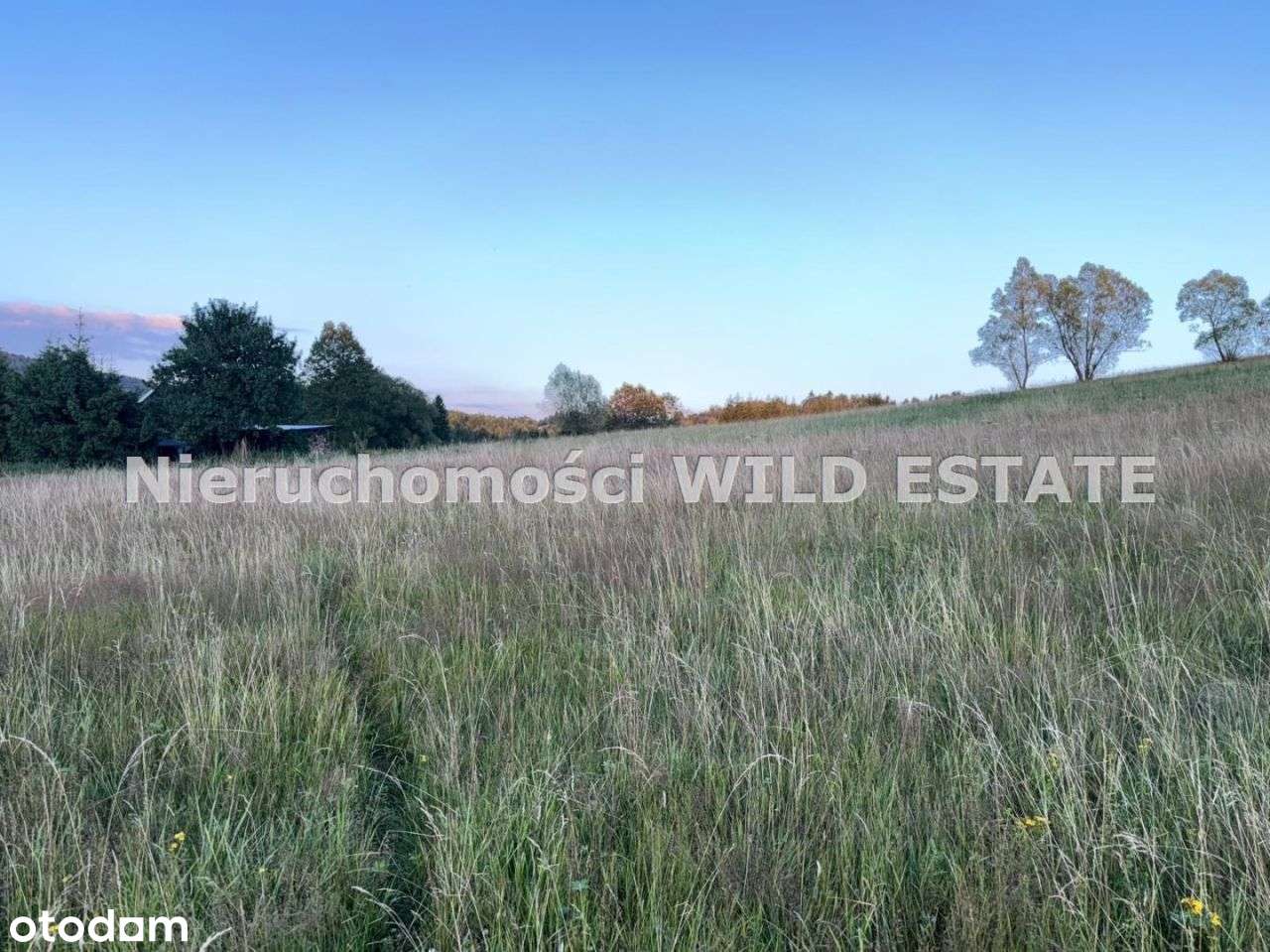 Działka, 2 839 m², Czarna Dolna - Pełny obrazek: 4/5