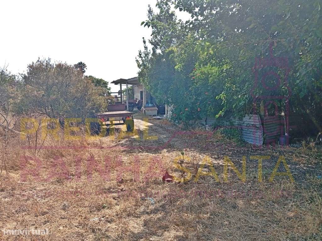 Herdade toda murada com artigo urbano 1460 m2 e rústico com 16.280 m2-10