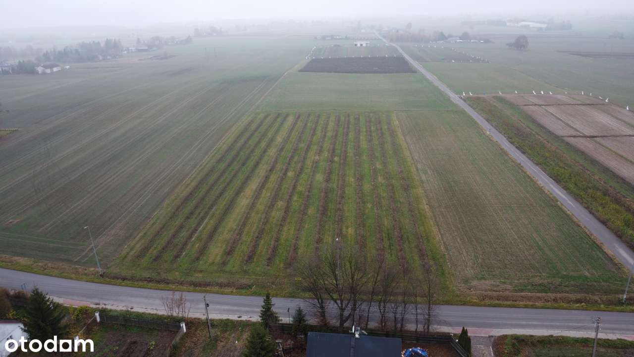 Kompleks  pięciu działek budowlanych Ożarów, gm. Jastków-2