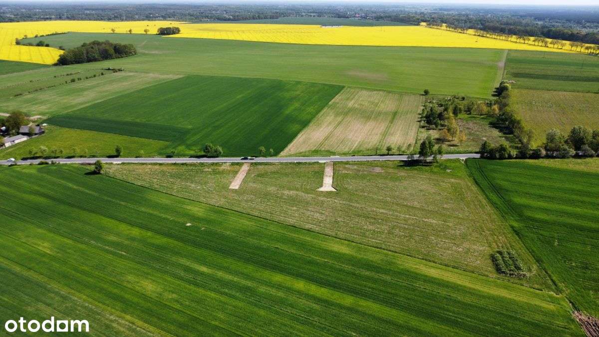 Kompleks Działek Budowlanych - Pełny obrazek: 4/8
