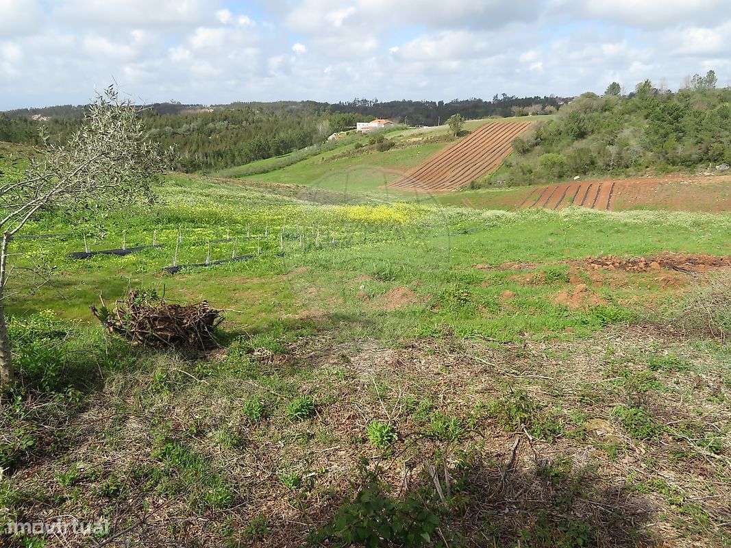 Terreno  para venda - Grande imagem: 1/5