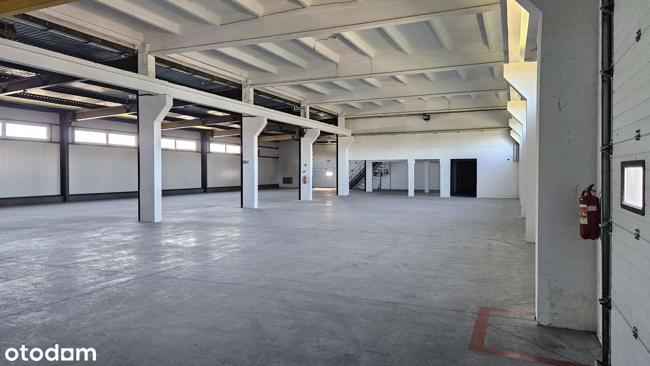 Hala na wynajem 1000 m² – Grudziądz, ul. Składowa, blisko A1! - Pełny obrazek: 3/10