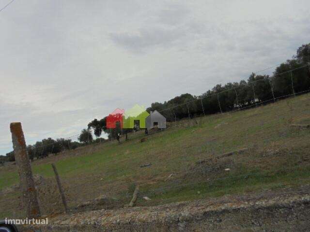 Terreno rústico em Aguiar - Grande imagem: 4/5