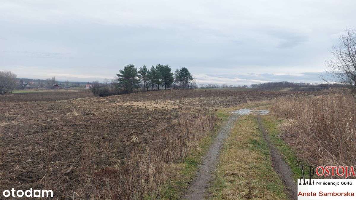 Działka budowlano-rolna pod zabudowę!-5