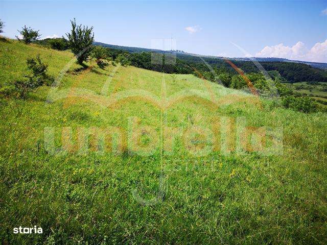 Teren de vanzare intravilan in Cluj-Napoca, Strada Soporului 1.500 mp - Imagine principală: 1/7