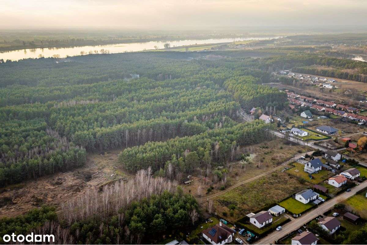Duża działka częściowo zalesiona niedaleko jeziora-7