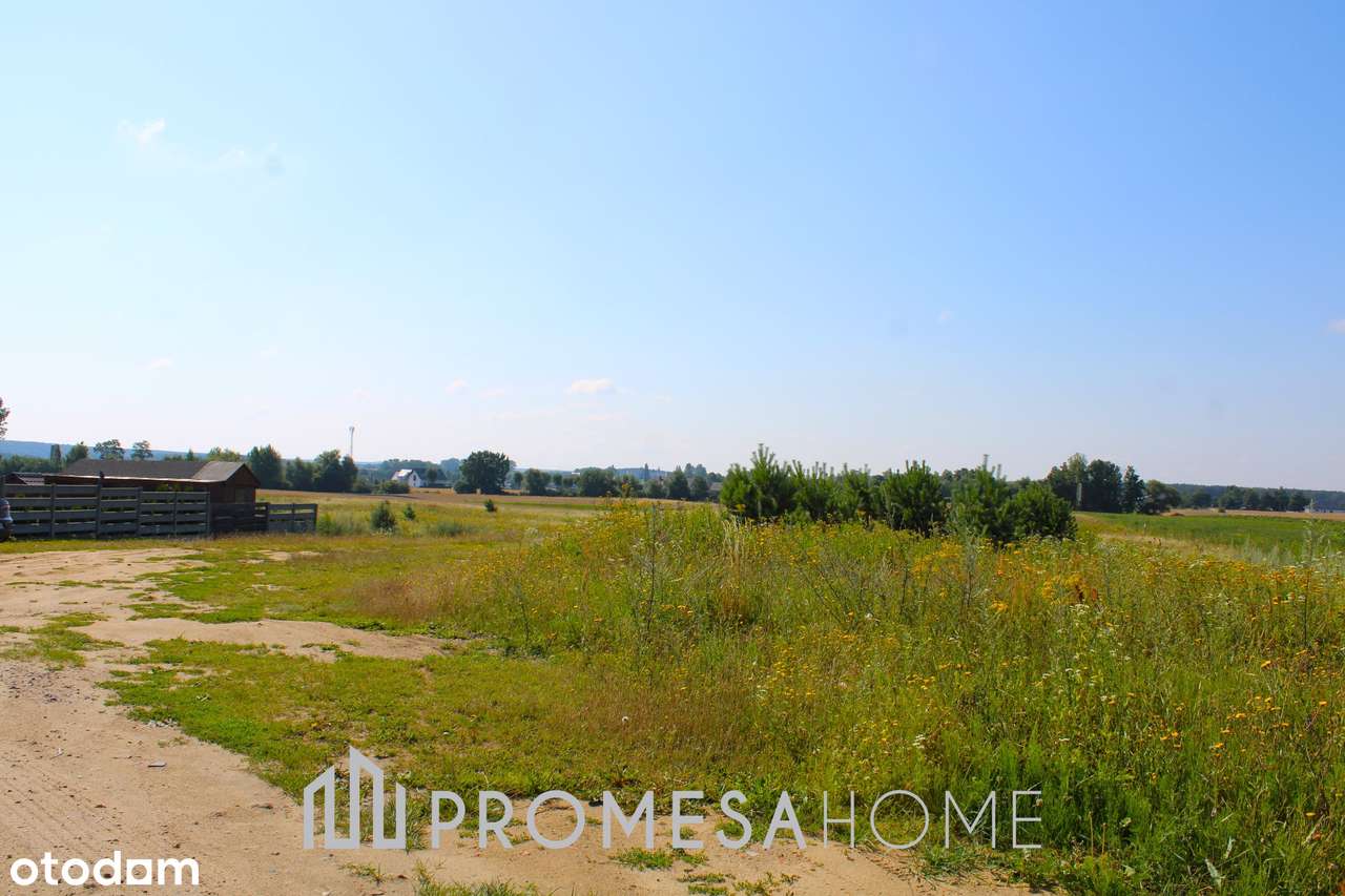 Jankowo Dolne/Gniezno działki budowl MPZP Media Super Cena blisko lasu - Pełny obrazek: 5/5