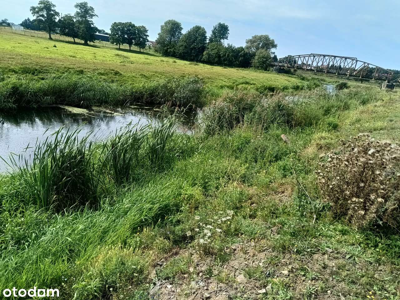 Działka pod zabudowę przy Inie - Pełny obrazek: 4/5