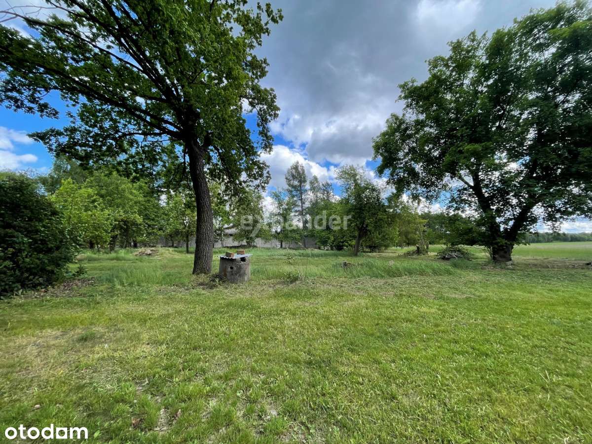 Działka Budowlano-rolna z projektem podziału - Pełny obrazek: 4/6